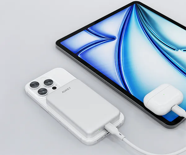 Najważniejsze Cechy: