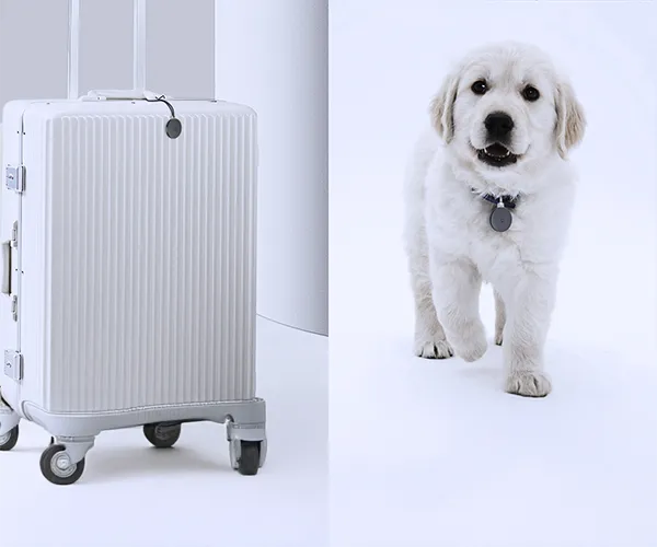 Dyskretny strażnik Twoich rzeczy