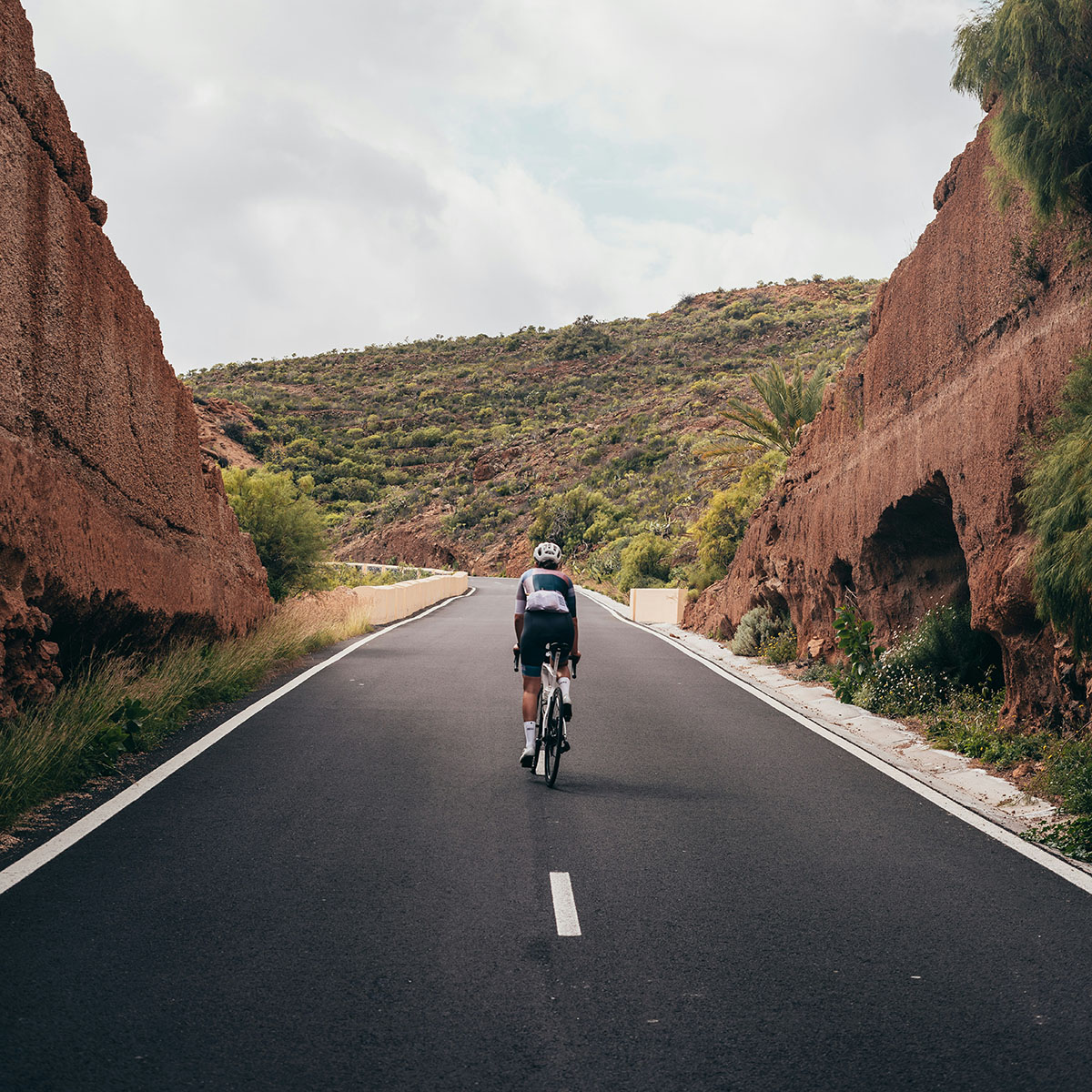 philipp-mandler-FElQtEhsUec-unsplash