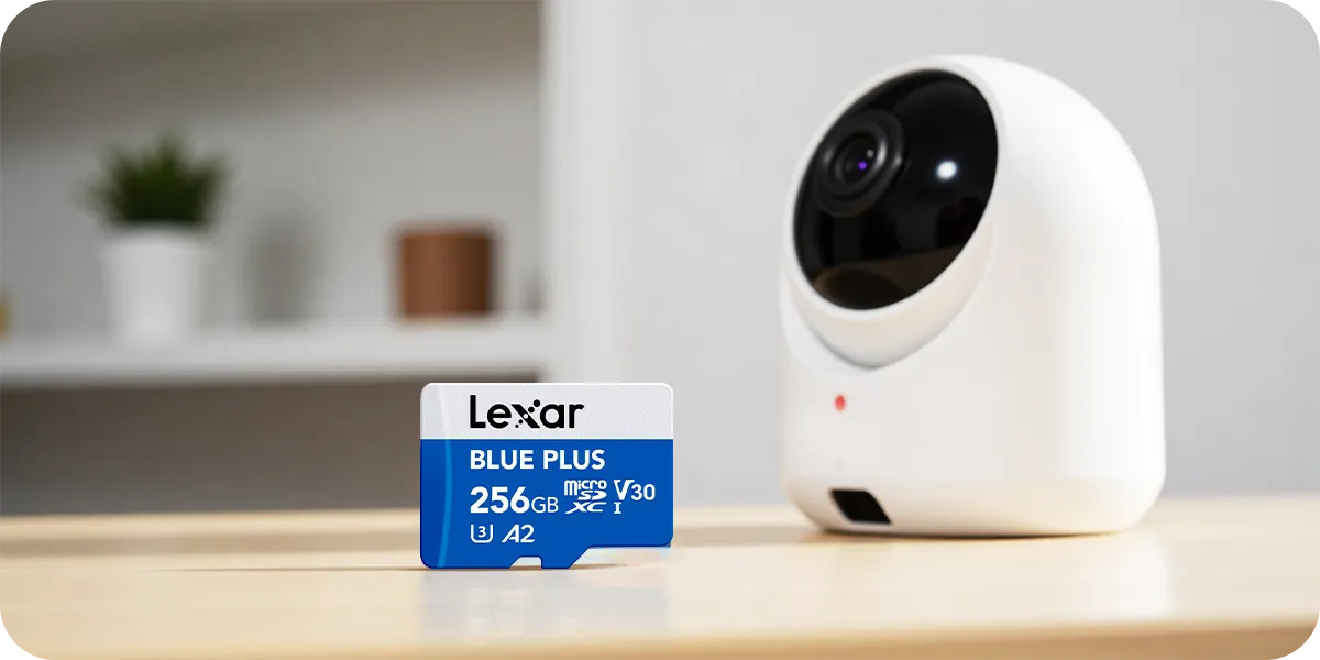 karta pamięci lexar blue plus 256GB