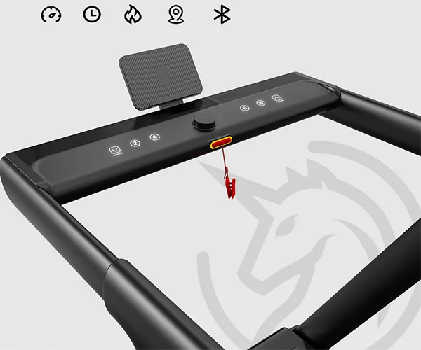 Najważniejsze Cechy: