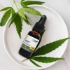 dr.Hemp Organiczny olej konopny 10% CBD